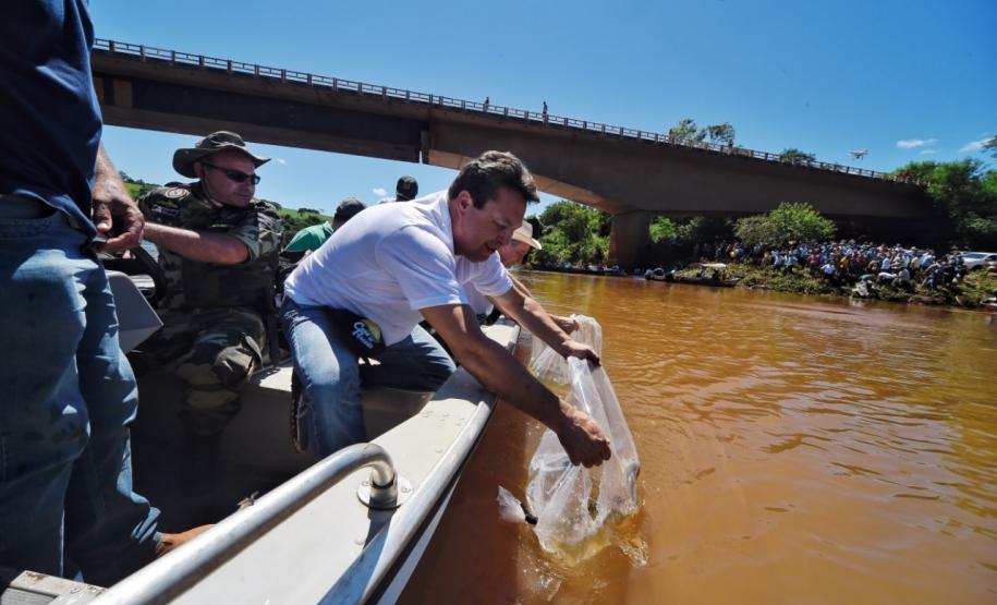 Governo promove soltura de peixes e plantio de árvores no Interior Governo promove soltura de peixes e plantio de árvores no Interior