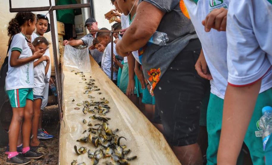 Estado promove ações ambientais no Norte e Norte Pioneiro