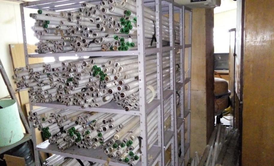 Estado atua para destinação correta de lâmpadas usadas Estado atua para destinação correta de lâmpadas usadas