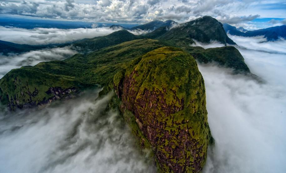 Selo Clima Paraná conquista Prêmio Expressão de Ecologia