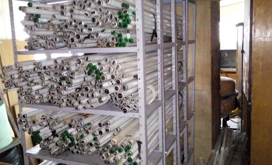 Estado e municípios atuam para ampliar a coleta de lâmpadas