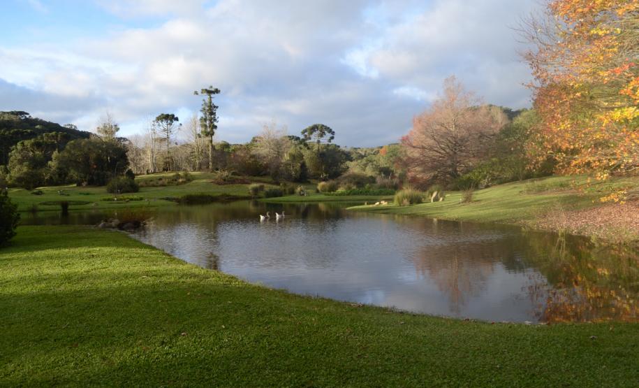 Secretaria promove ações em homenagem ao Meio Ambiente