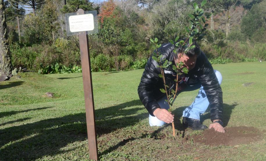 Secretaria promove ações em homenagem ao Meio Ambiente