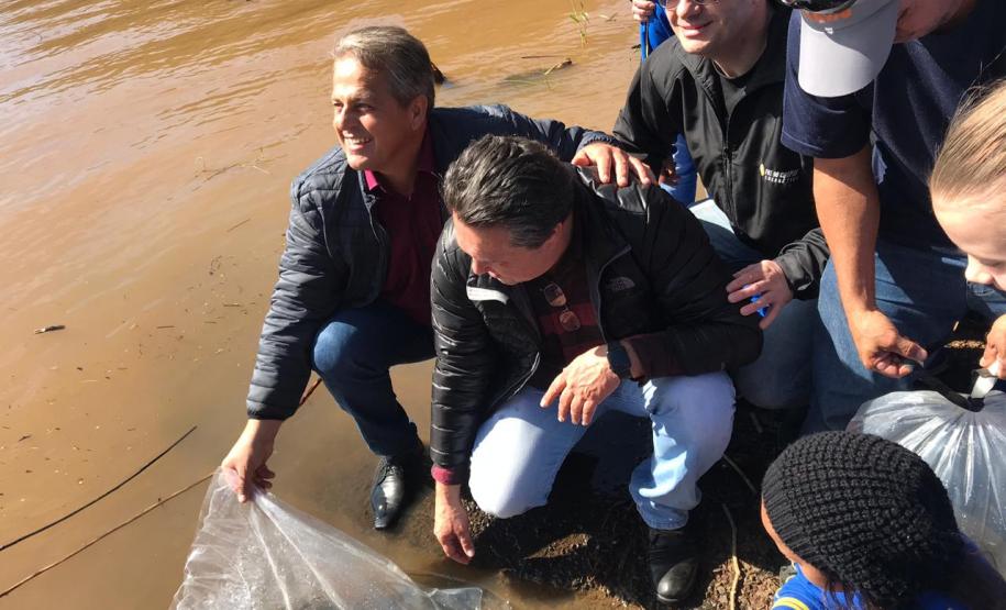Secretaria promove ações em homenagem ao Meio Ambiente