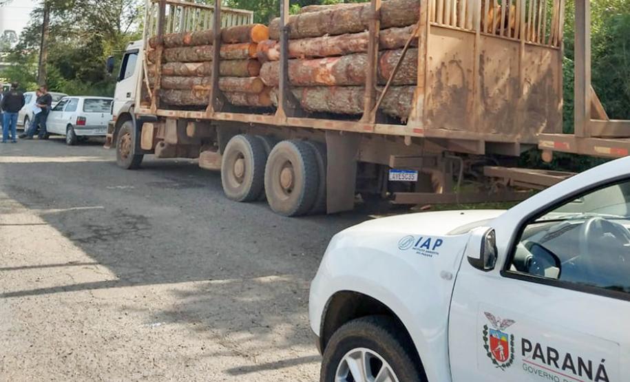 IAP apreende madeira de corte ilegal de vegetação nativa