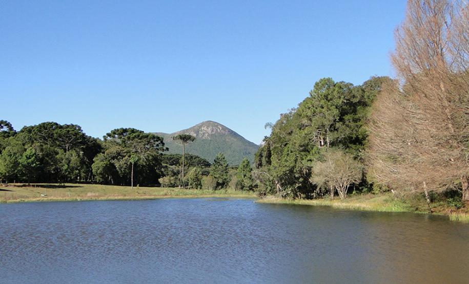 Rota do Pinhão oferece diversidade de atrações turísticas