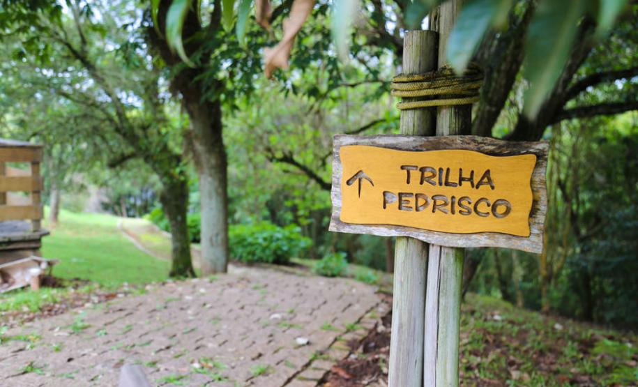 Paraná tem boas opções de passeio para aproveitar o Inverno