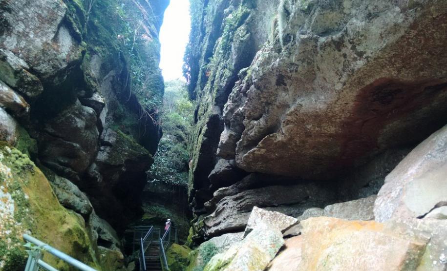 15 parques estaduais oferecem atividades especiais no domingo