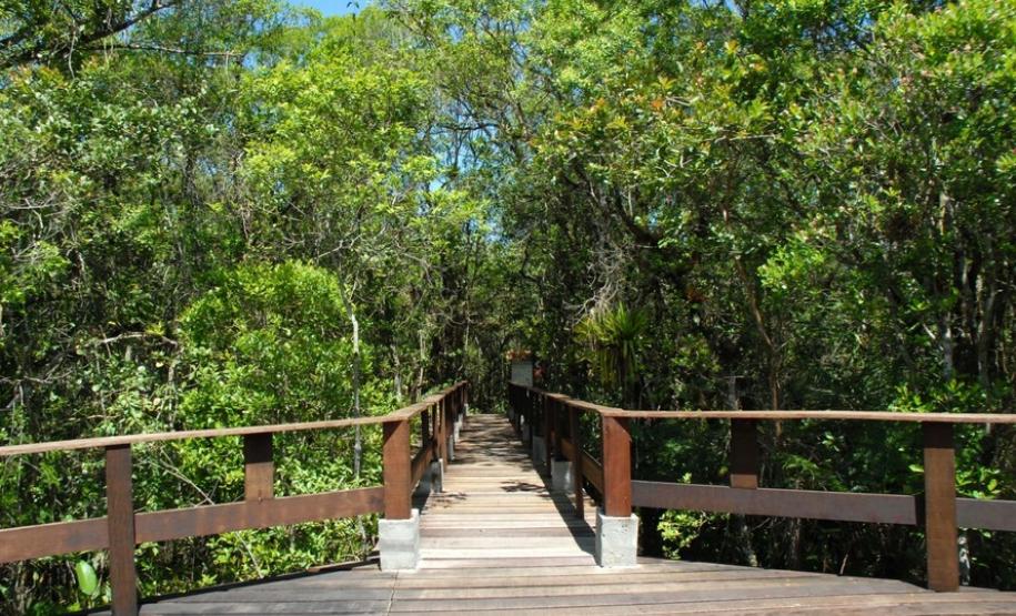 15 parques estaduais oferecem atividades especiais no domingo