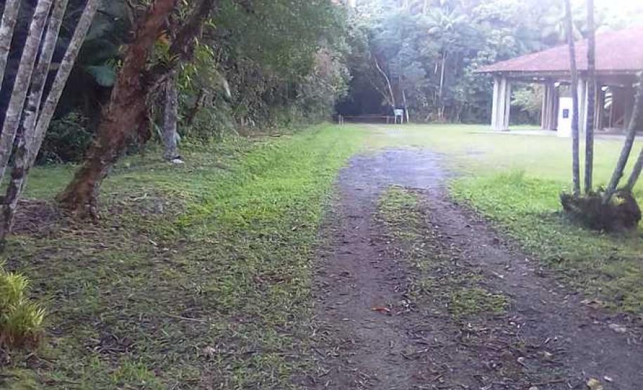 15 parques estaduais oferecem atividades especiais no domingo