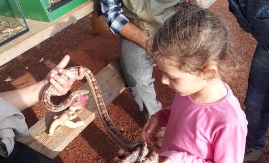 Campanha leva 5,6 mil pessoas aos parques estaduais do Paraná