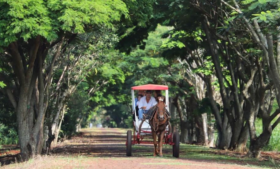 Turismo rural conquista visitantes em diversas regiões do Estado