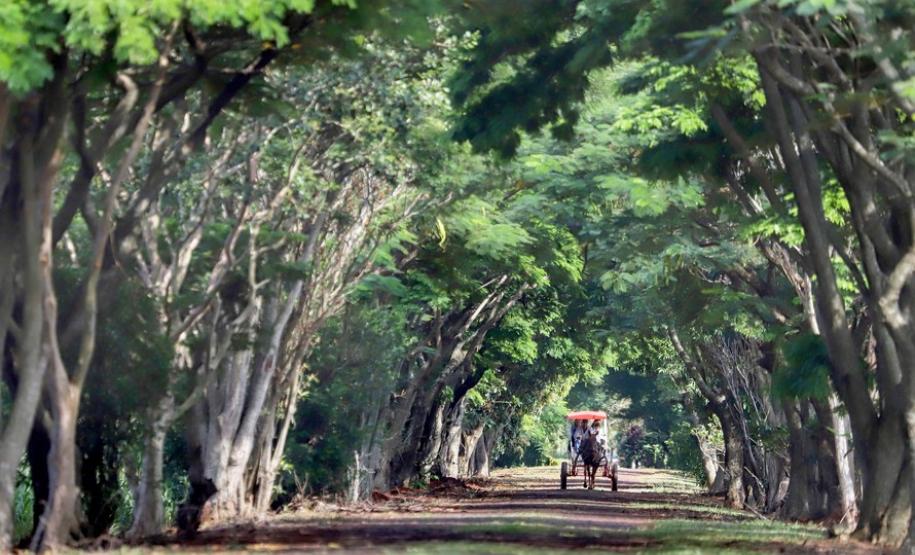 Turismo rural conquista visitantes em diversas regiões do Estado