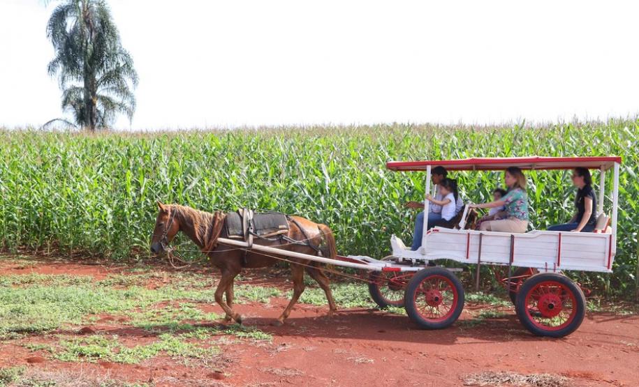 Turismo rural conquista visitantes em diversas regiões do Estado