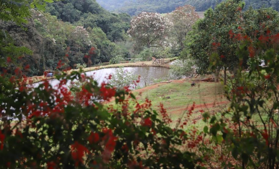 Turismo rural conquista visitantes em diversas regiões do Estado