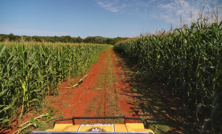 Turismo rural conquista visitantes em diversas regiões do Estado