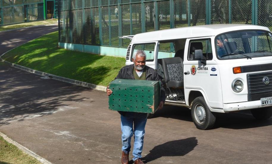 IAP encaminha bugio em recuperação a centro especializado