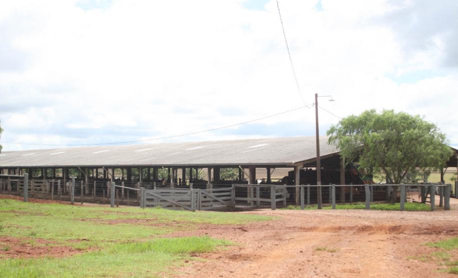 Governo realiza mudanças em resoluções de licenciamento ambiental Governo realiza mudanças em resoluções de licenciamento ambiental