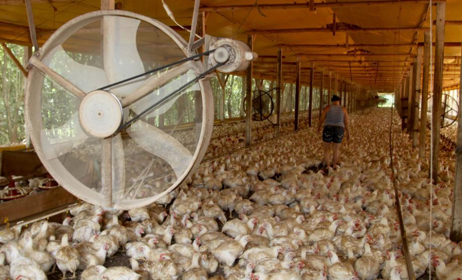 Governo realiza mudanças em resoluções de licenciamento ambiental Governo realiza mudanças em resoluções de licenciamento ambiental