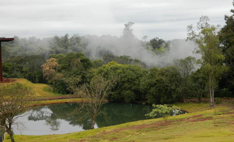 Jardim Botânico de Londrina 4 Jardim Botânico de Londrina