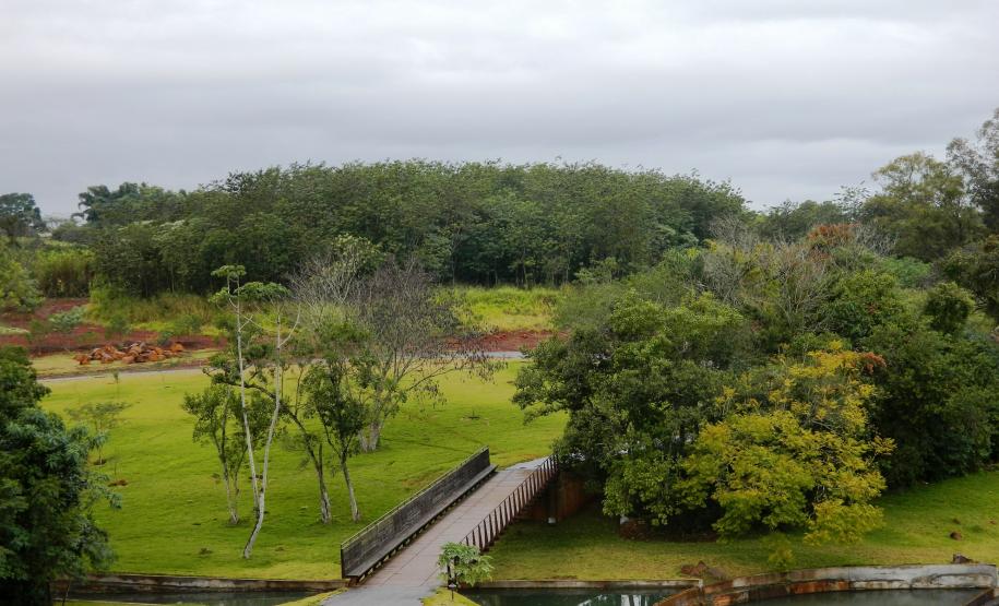 Jardim Botânico de Londrina 5 Jardim Botânico de Londrina