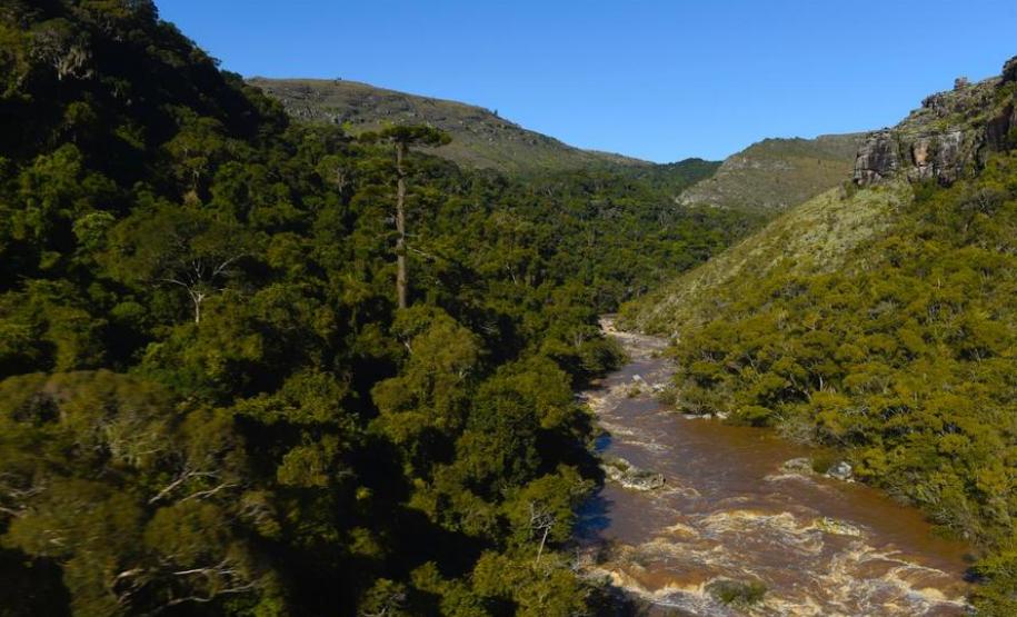 Campos Gerais têm natureza, tropeirismo e cultura europeia