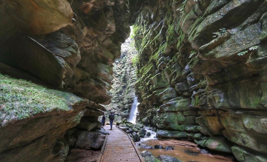 Campos Gerais têm natureza, tropeirismo e cultura europeia