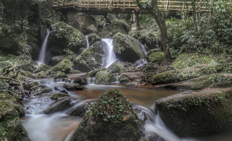 Campos Gerais têm natureza, tropeirismo e cultura europeia
