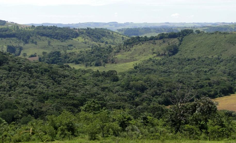 Estado abre 220 vagas para residência técnica na área ambiental