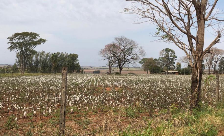 ITCG vai regularizar assentamentos em Cafeara e Santo Inácio