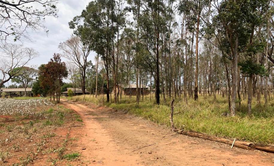 ITCG vai regularizar assentamentos em Cafeara e Santo Inácio