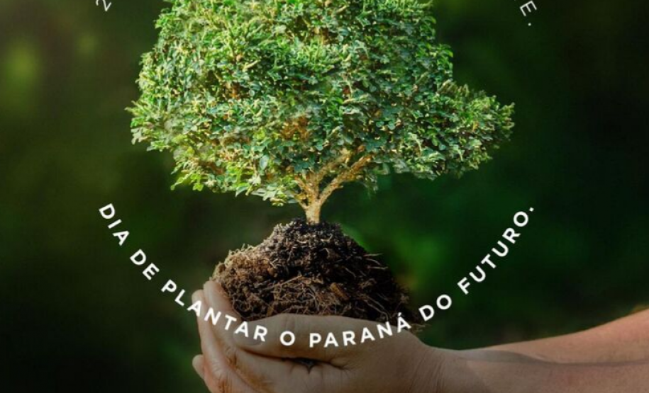 Governo do Estado inicia programa de incentivo à arborização