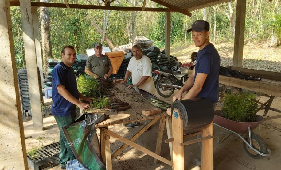 Governo do Estado inicia programa de incentivo à arborização
