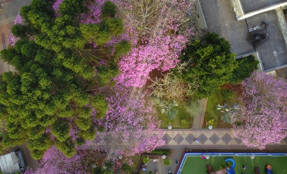 Primavera começa com temperatura amena e sem chuva no Paraná