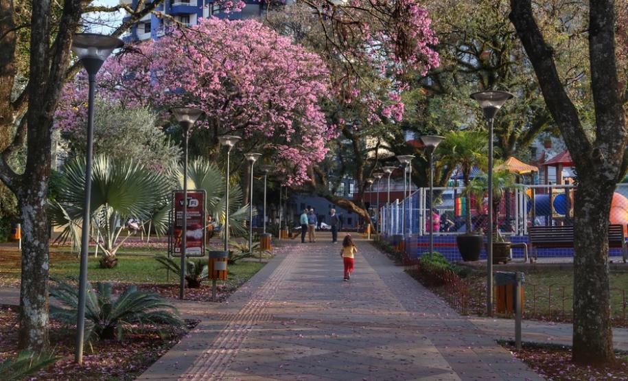 Primavera começa com temperatura amena e sem chuva no Paraná