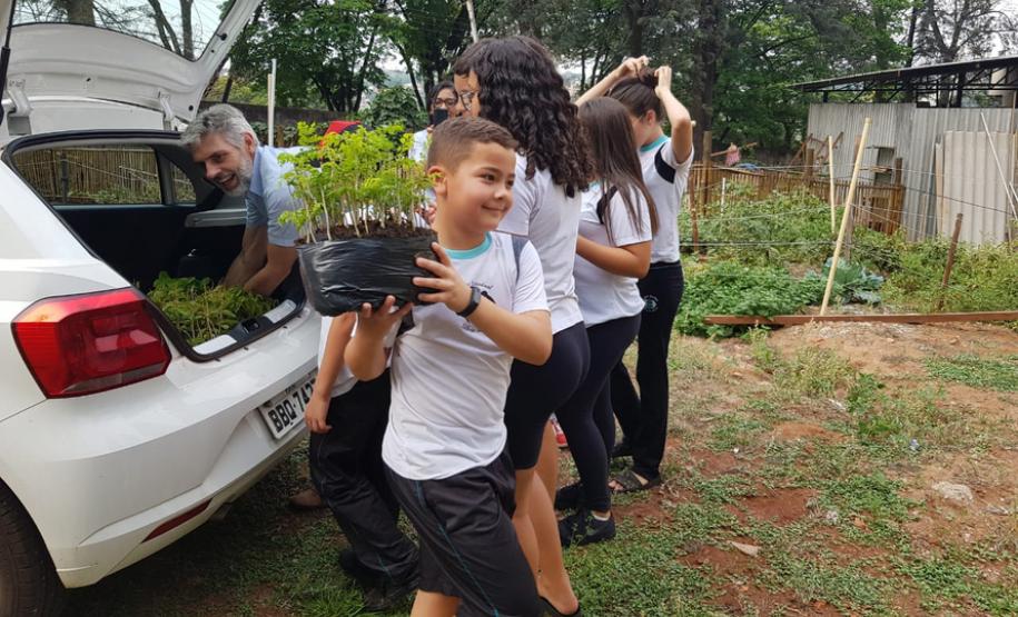 Envio de mudas às escolas mobiliza mais de 3 mil pessoas Envio de mudas às escolas mobiliza mais de 3 mil pessoas