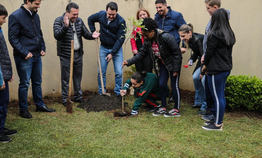 Paraná Mais Verde planta 413 mil árvores nativas