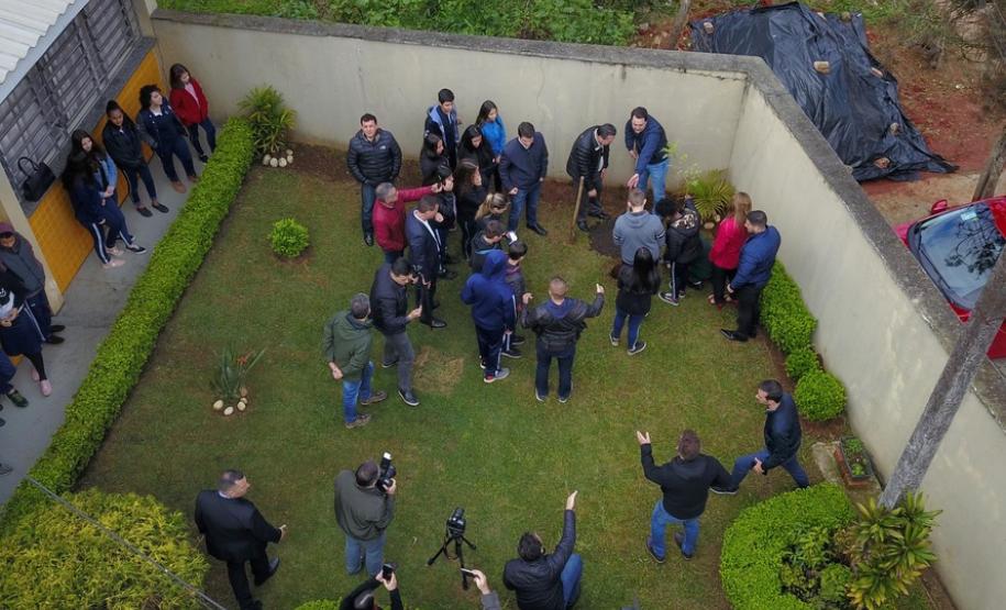 Paraná Mais Verde planta 413 mil árvores nativas