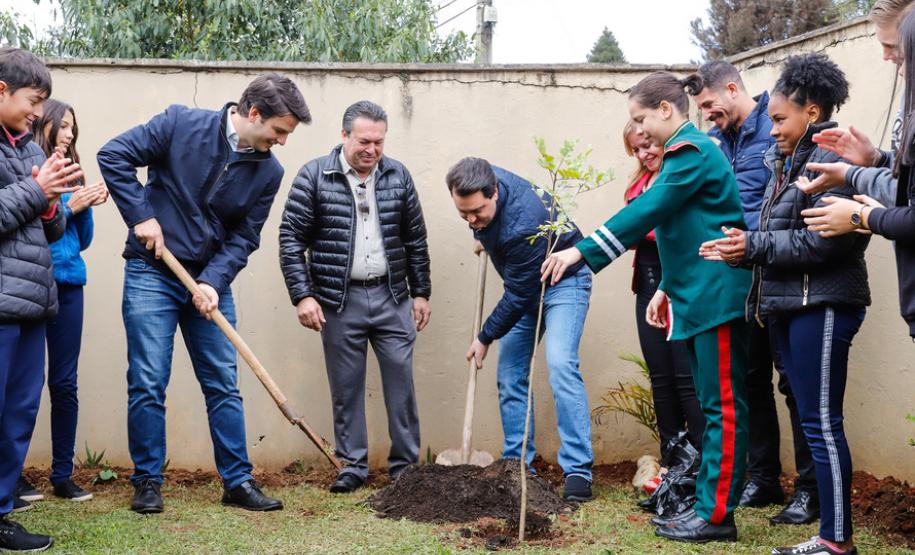 Paraná Mais Verde planta 413 mil árvores nativas