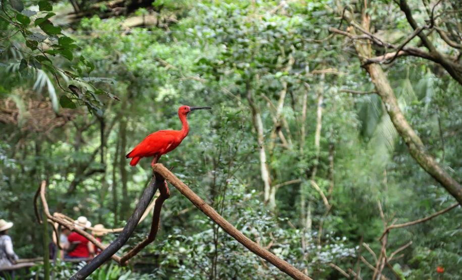 10 lugares imperdíveis para conhecer no Paraná