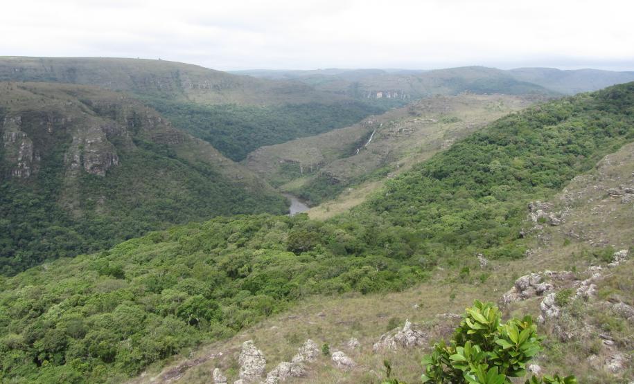 Reservas de Patrimônio Natural recebem por serviços ambientais