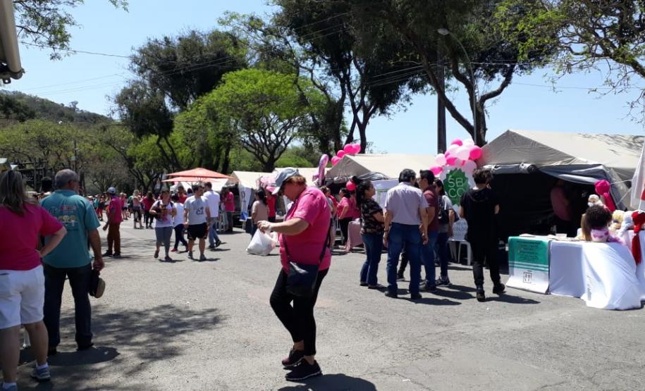 Paraná Pet Amigo resulta em 91 adoções no Estado