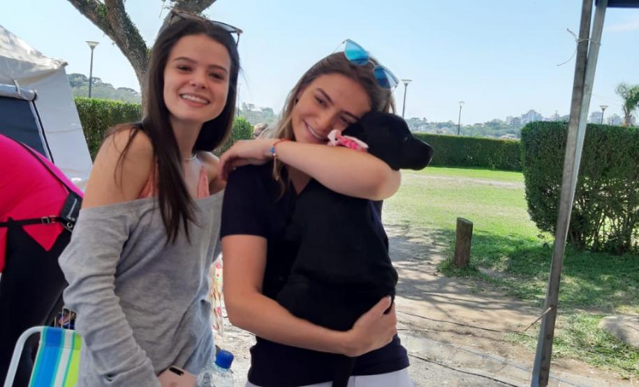 Paraná Pet Amigo resulta em 91 adoções no Estado