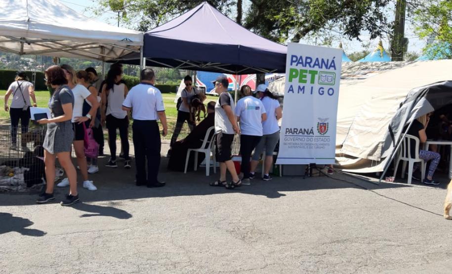 Paraná Pet Amigo resulta em 91 adoções no Estado