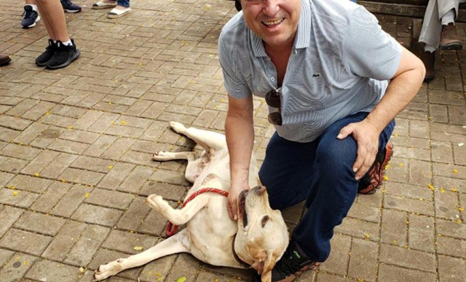 Paraná Pet Amigo resulta em 91 adoções no Estado