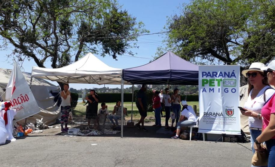 Paraná Pet Amigo resulta em 91 adoções no Estado