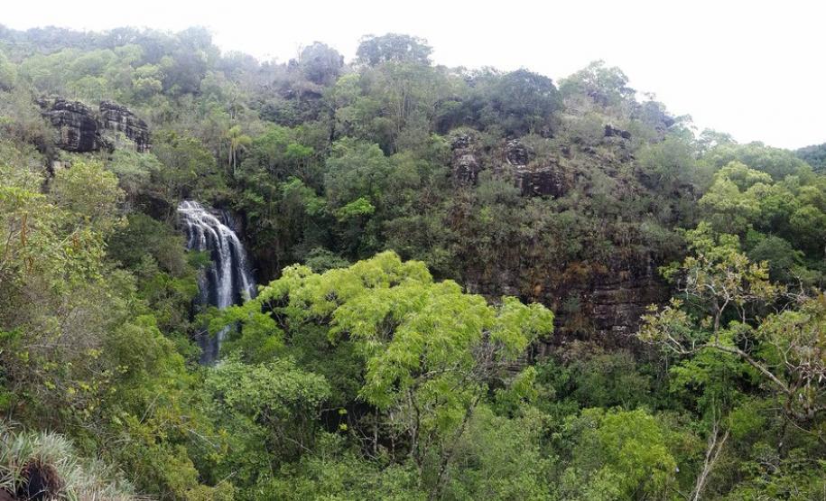 IAP monitora Reservas Particulares do Patrimônio Natural