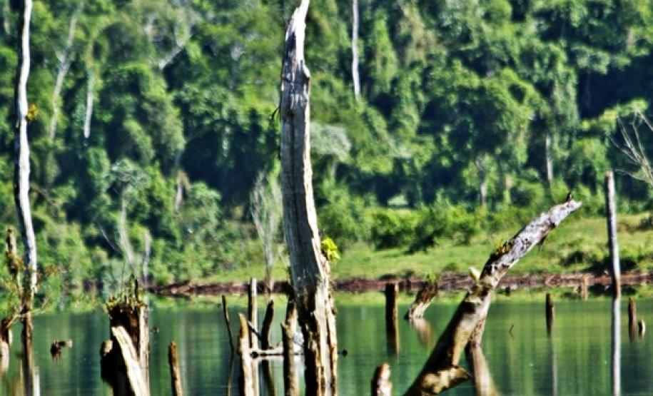 Bacias hidrográficas do Paraná abrigam belezas e potencial turístico