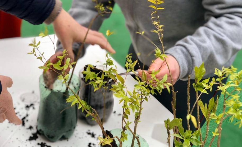 IAP vai participar do projeto Águas da Serra IAP vai participar do projeto Águas da Serra