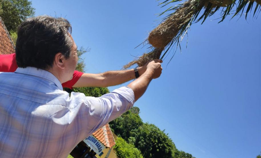 Parque Estadual São Camilo comemora 35 anos
